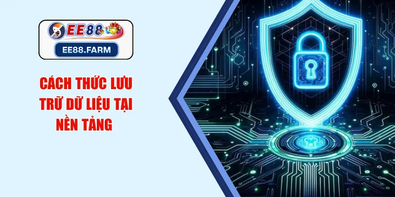 Cách thức lưu trữ dữ liệu tại nền tảng 