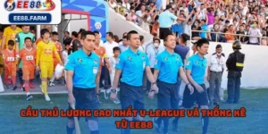 Cầu Thủ Lương Cao Nhất V-League Và Thống Kê Từ EE88