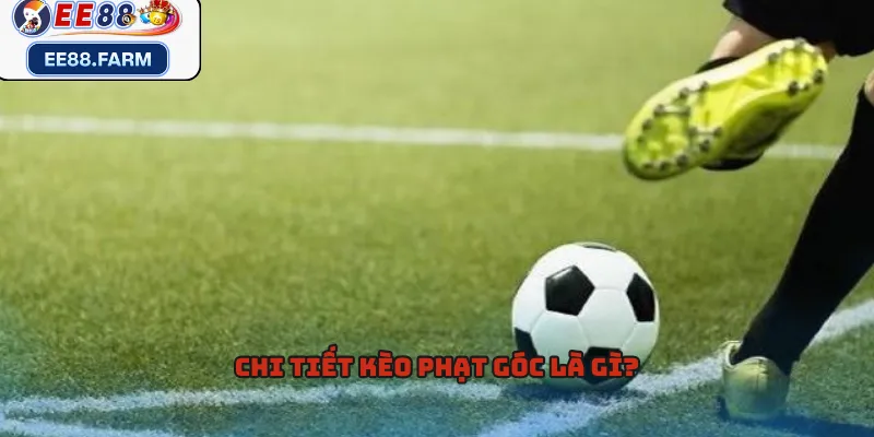 Chi tiết kèo phạt góc là gì?
