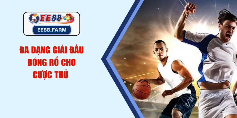 Đa dạng giải đấu bóng rổ cho cược thủ 
