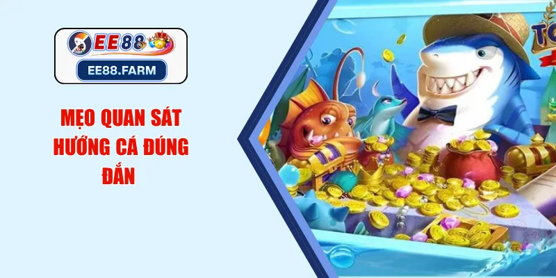 Mẹo quan sát hướng cá đúng đắn 