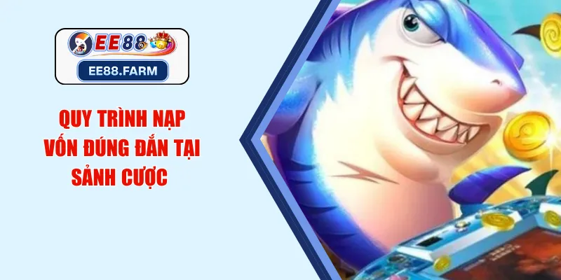 Quy trình nạp vốn đúng đắn tại sảnh cược 