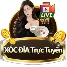 Sảnh xóc đĩa EE88