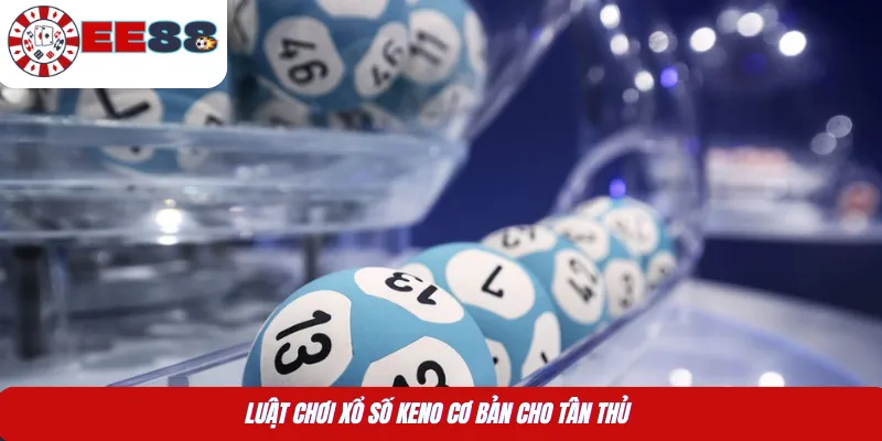 Luật chơi xổ số Keno cơ bản cho tân thủ 