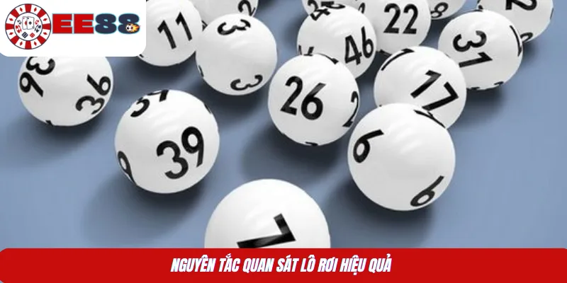 Nguyên tắc quan sát lô rơi hiệu quả