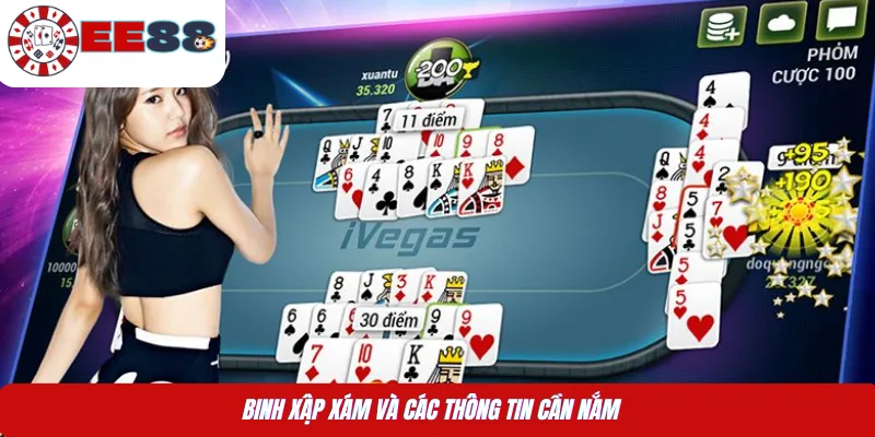 Binh Xập Xám và các thông tin cần nắm  