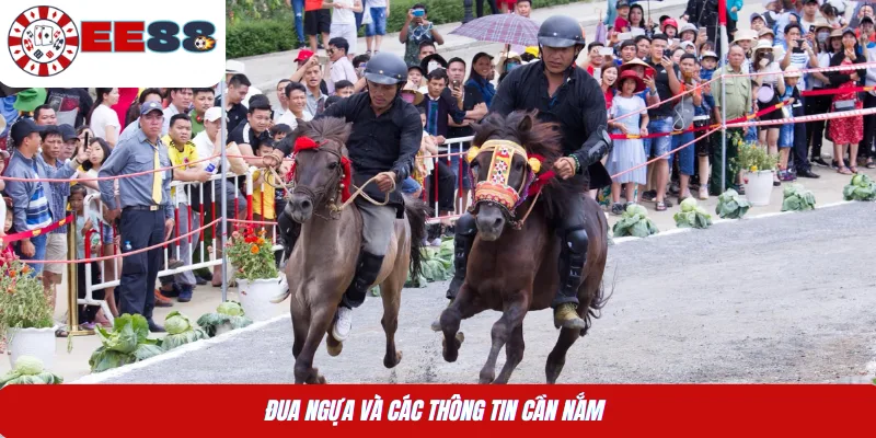Mẹo Thắng Đua Ngựa Giúp Đọc Kèo Chuẩn Ngay Từ Đầu