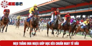 Mẹo Thắng Đua Ngựa Giúp Đọc Kèo Chuẩn Ngay Từ Đầu