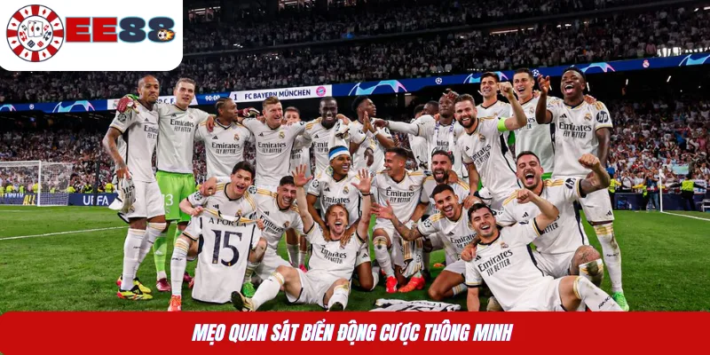 Mẹo quan sát biển động cược thông minh