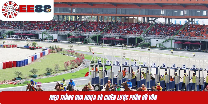 Mẹo thắng đua ngựa và chiến lược phân bổ vốn 